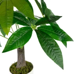 Northlight 18.5" Artificial Guiana Chestnut Plant In White Pot -Home Improvement Store GUEST f79c3e27 17fe 45d2 a1ee 144e410ac2fb