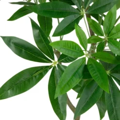 Northlight 4' Artificial Unbraided Potted Green Money Tree 9 Northlight 4' Artificial Unbraided Potted Green Money Tree -Home Improvement Store GUEST fec5ce88 9406 4d1b a61d 799b0ec18f35