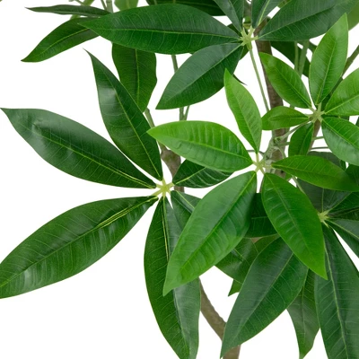 Northlight 4' Artificial Unbraided Potted Green Money Tree 4 Northlight 4' Artificial Unbraided Potted Green Money Tree - Image 4